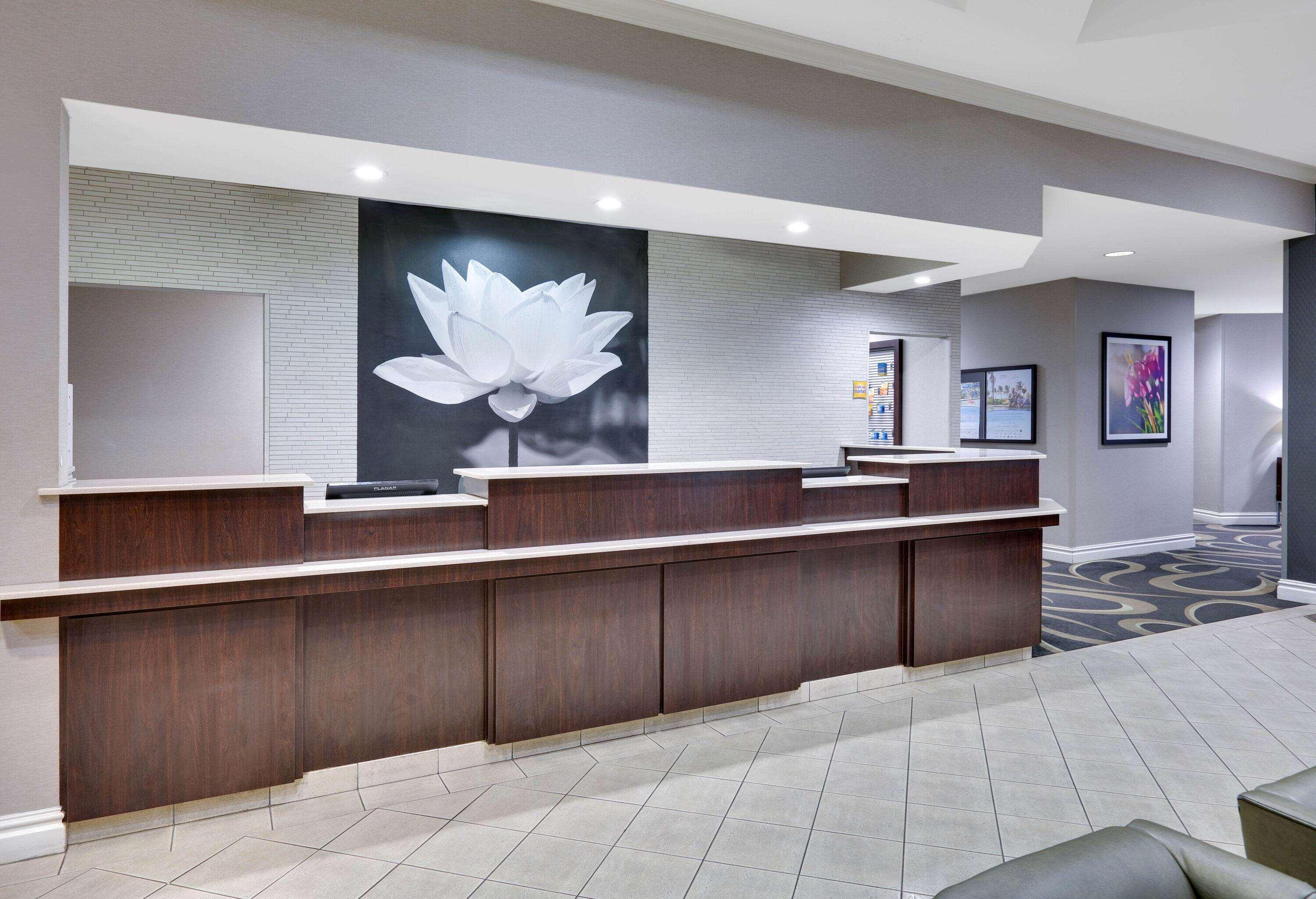 La Quinta By Wyndham Dallas North Central Buitenkant foto